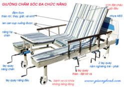 Giường y tế đa chức năng NKT-DCN05